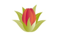 Hauoli Mau Loa logo